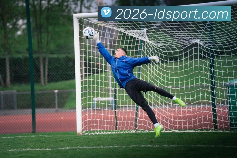 乐动体育平台生态图