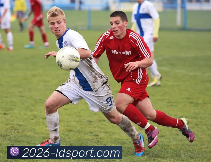 乐动体育APP 封面图