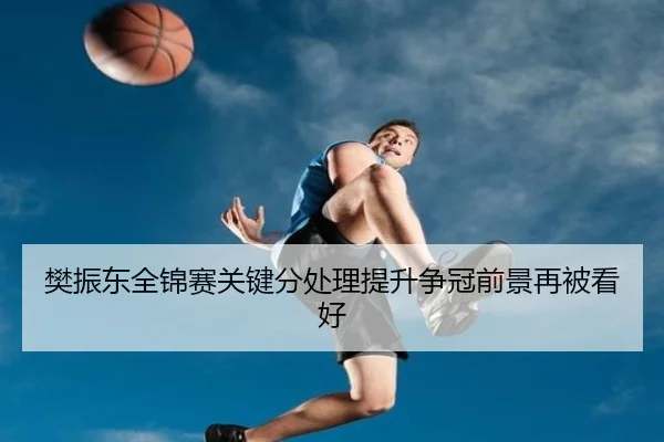 樊振东全锦赛关键分处理提升争冠前景再被看好 | LDSPORTS